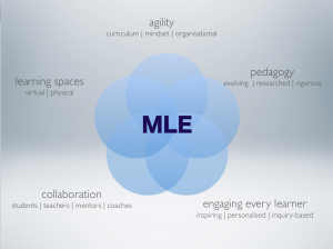 Diverse aspects of a MLE